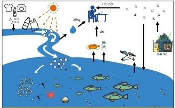 Nhựa tự hủy – Hiểu sao cho đúng?